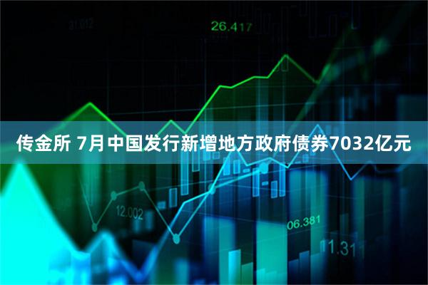 传金所 7月中国发行新增地方政府债券7032亿元