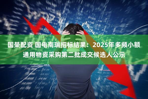 国榮配资 国电南瑞招标结果：2025年多频小额通用物资采购第二批成交候选人公示