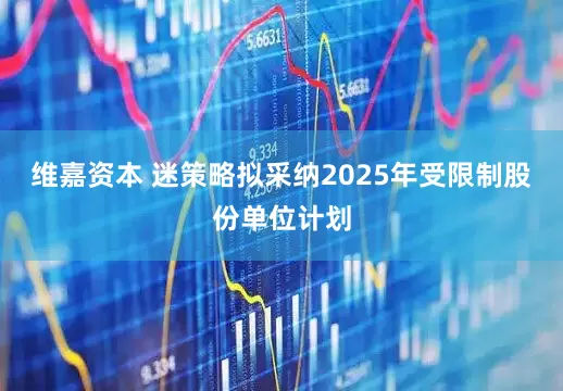 维嘉资本 迷策略拟采纳2025年受限制股份单位计划