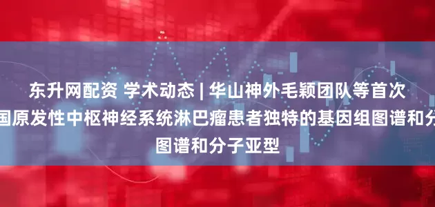 东升网配资 学术动态 | 华山神外毛颖团队等首次揭示中国原发性中枢神经系统淋巴瘤患者独特的基因组图谱和分子亚型
